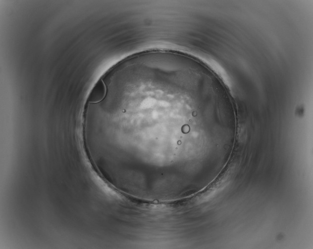 X0000102020903200807251329