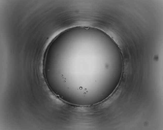 X0000102020904200807251329