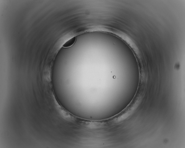 X0000102020905200807251329