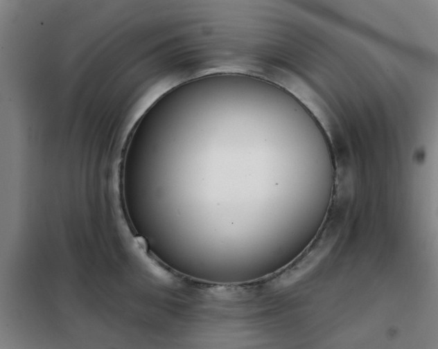 X0000102020906200807251329