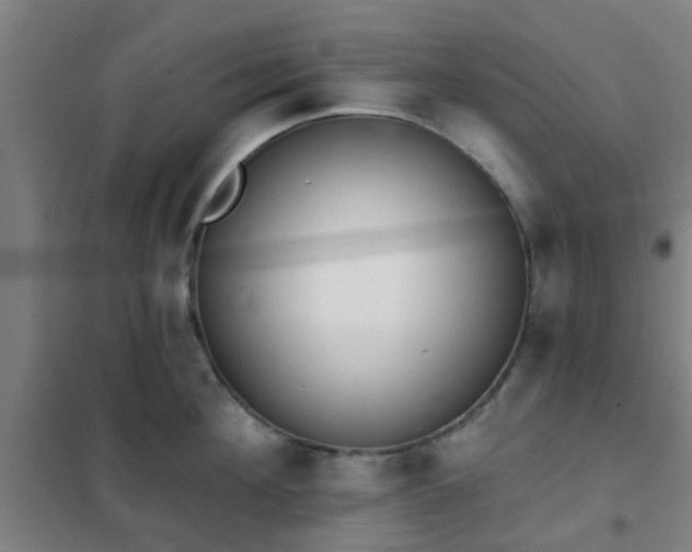 X0000102020908200807251329