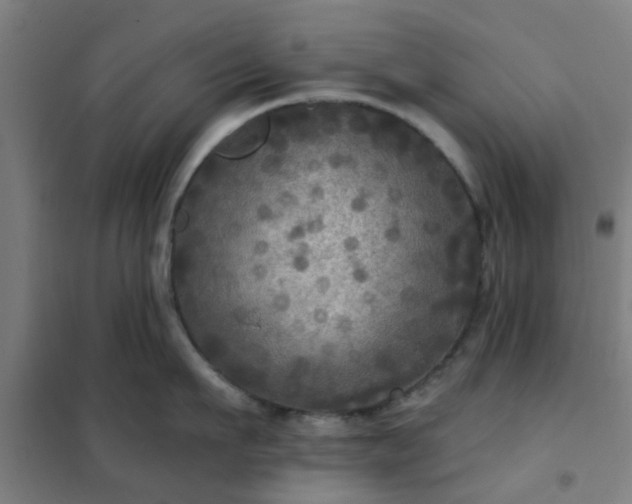 X0000102020911200807251329
