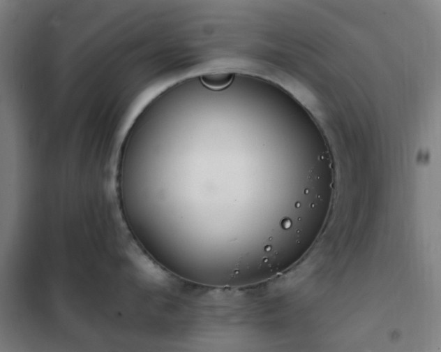 X0000102020912200807251329