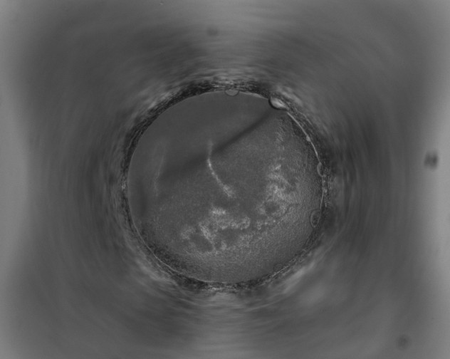 X0000102020913200807251328