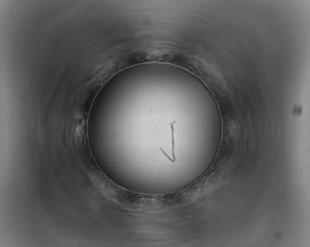 X0000102020914200807251328