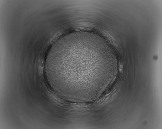 X0000102020915200807251328