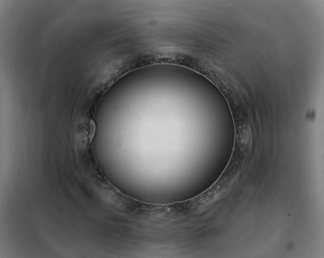 X0000102020916200807251328