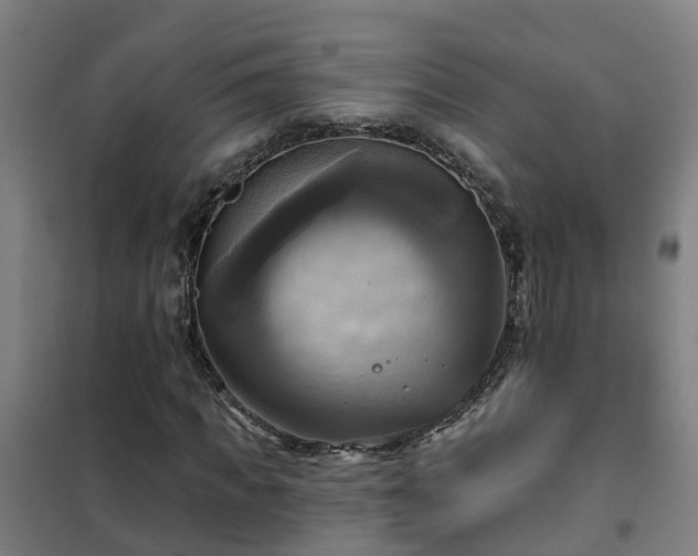 X0000102020917200807251328
