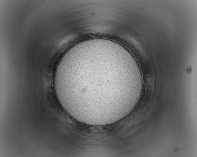 X0000102020918200807251328