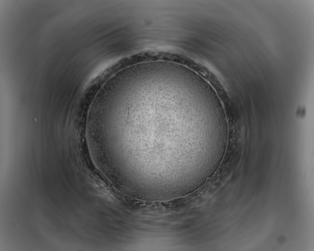 X0000102020919200807251328
