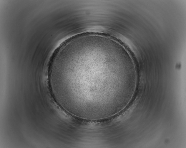 X0000102020923200807251328