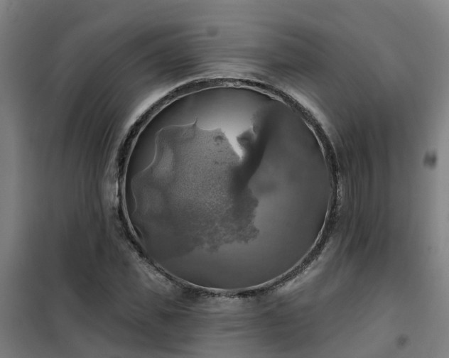 X0000102020925200807251328