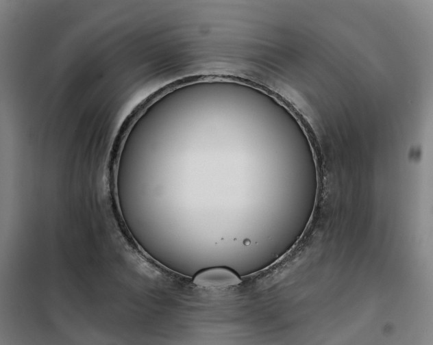 X0000102020928200807251328