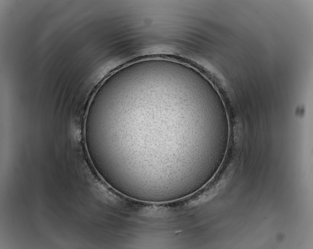 X0000102020929200807251328