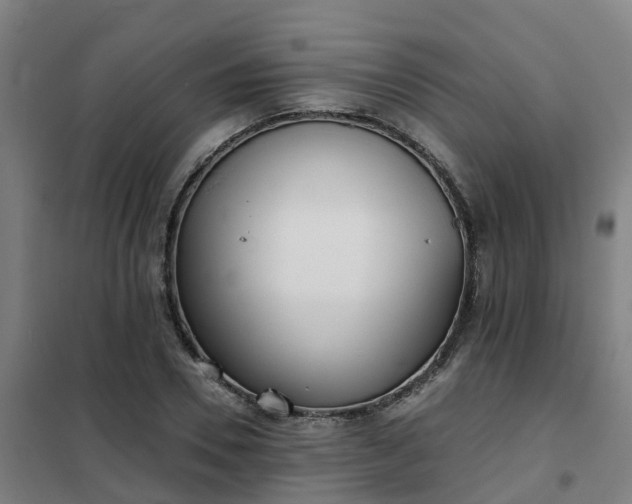 X0000102020930200807251328