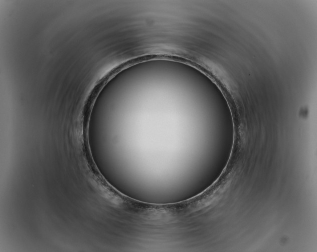 X0000102020931200807251328