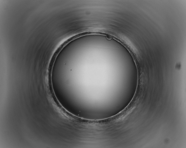 X0000102020932200807251328