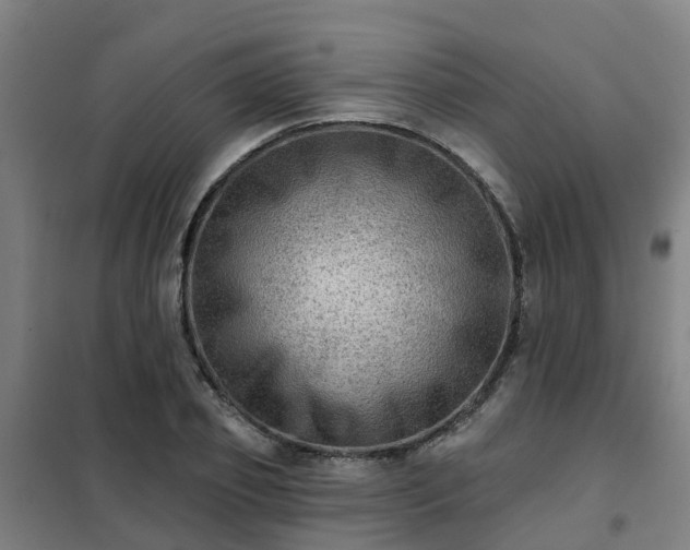 X0000102020933200807251328