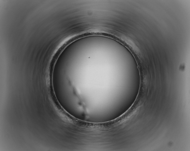 X0000102020934200807251328