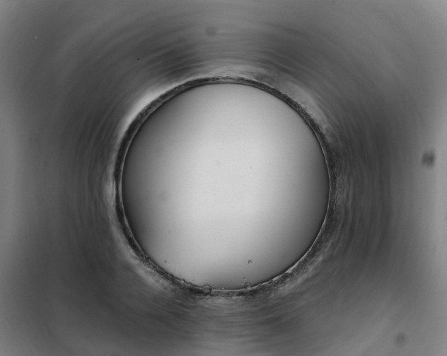 X0000102020936200807251328