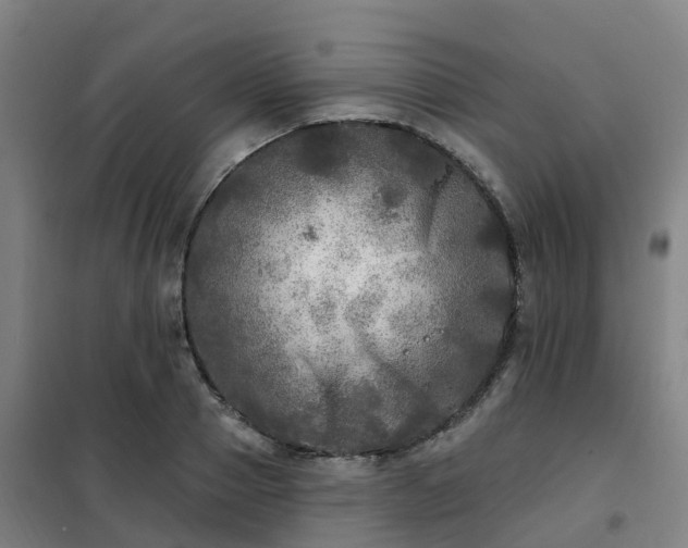 X0000102020937200807251328