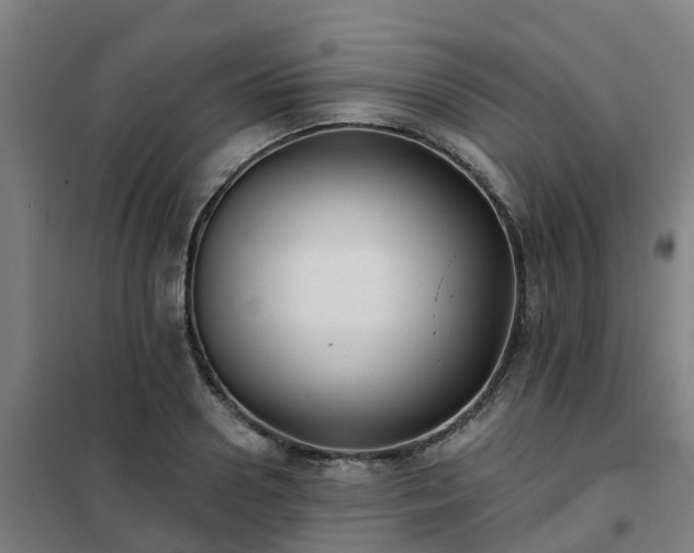 X0000102020938200807251328
