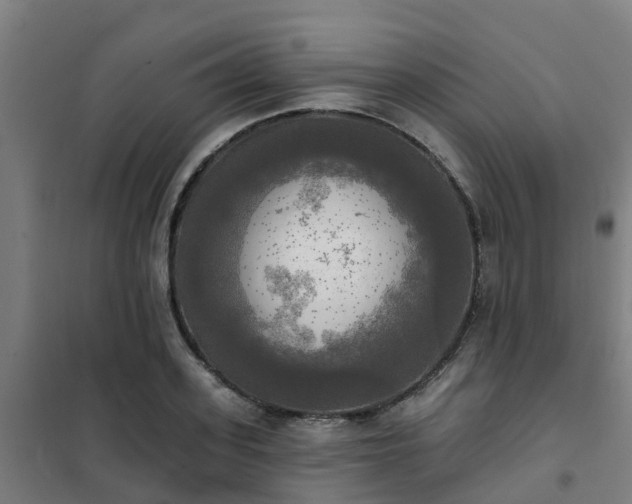 X0000102020939200807251328