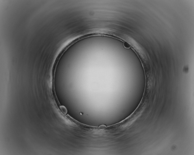 X0000102020940200807251328