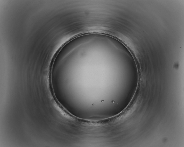 X0000102020941200807251328