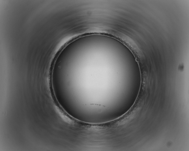 X0000102020942200807251328