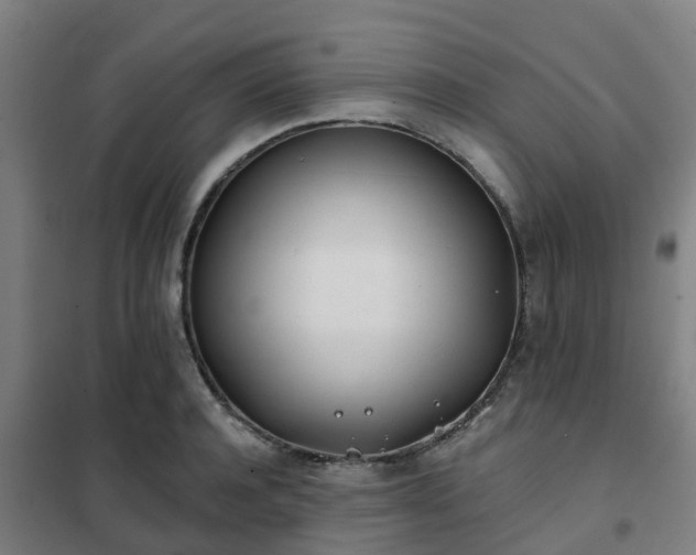 X0000102020944200807251328