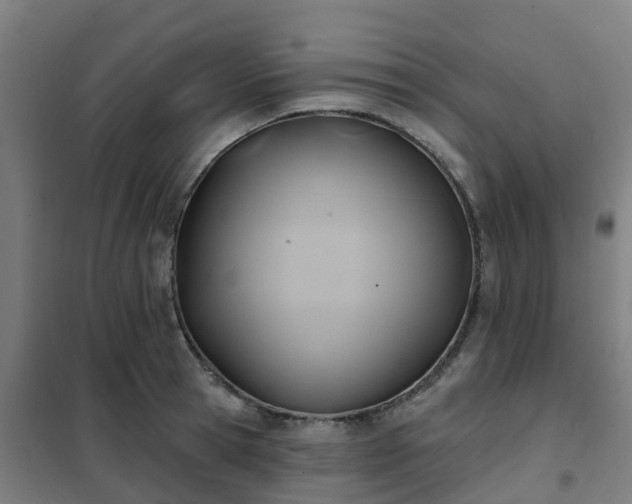 X0000102020945200807251328