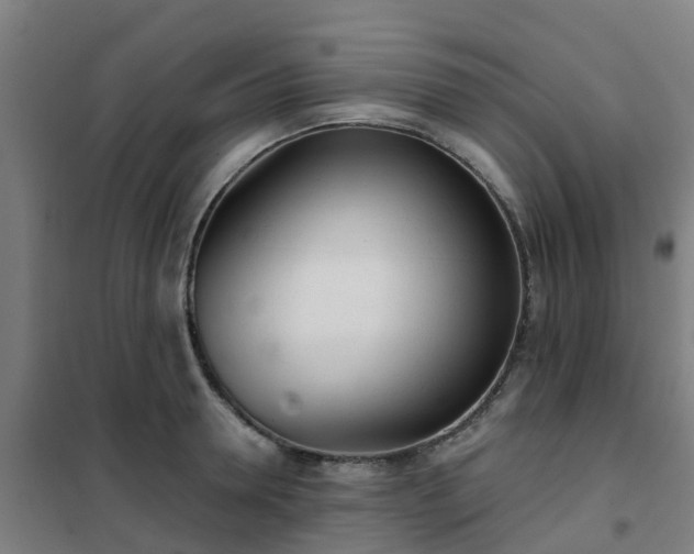 X0000102020946200807251328