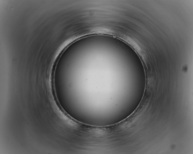 X0000102020947200807251328