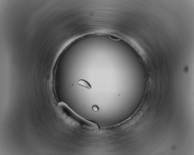 X0000102020948200807251328