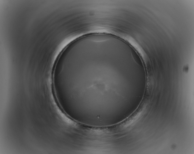 X0000102020951200807251329