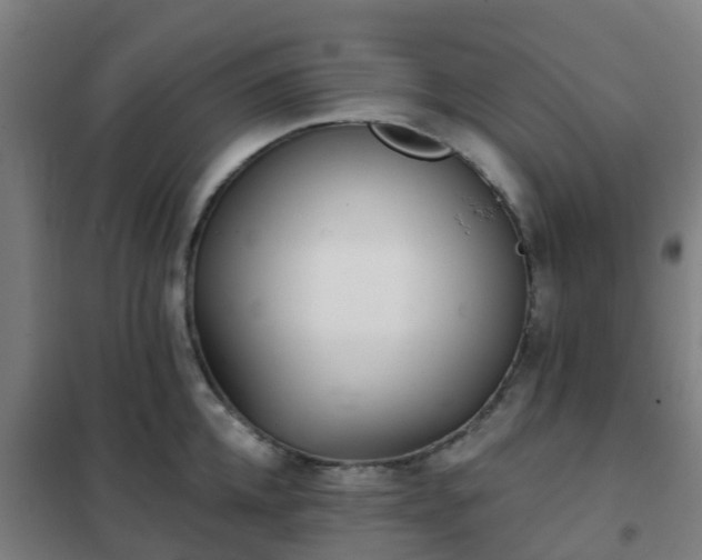 X0000102020952200807251329