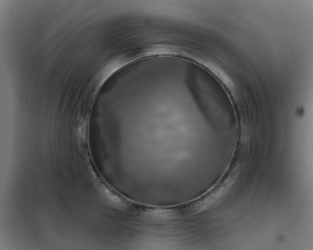 X0000102020953200807251329