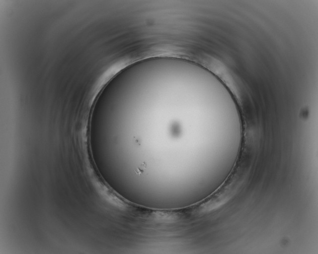 X0000102020954200807251329