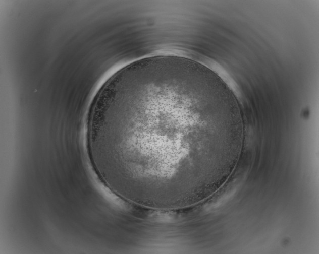 X0000102020955200807251329