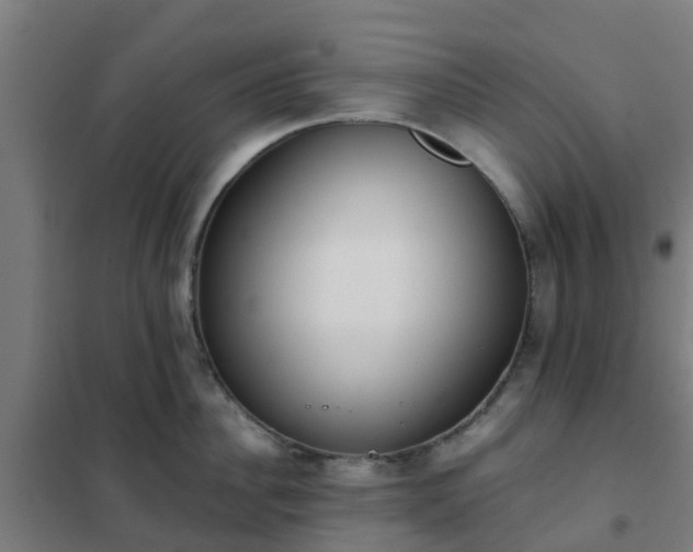 X0000102020956200807251329