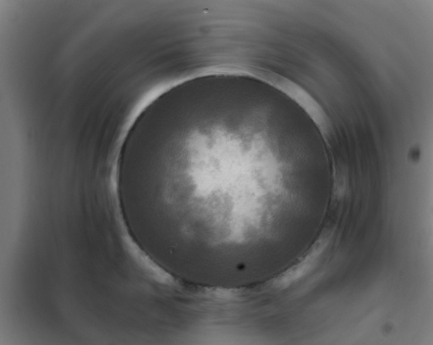 X0000102020958200807251329