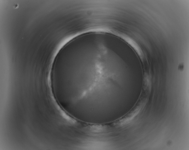 X0000102020959200807251329