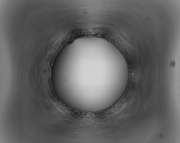 X0000102020961200807251328