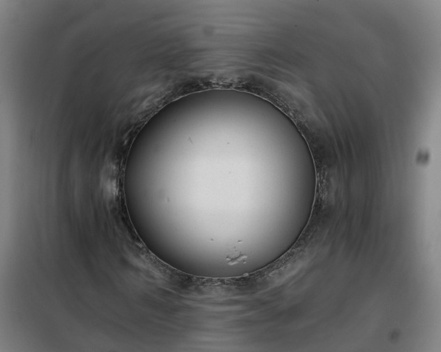 X0000102020962200807251328