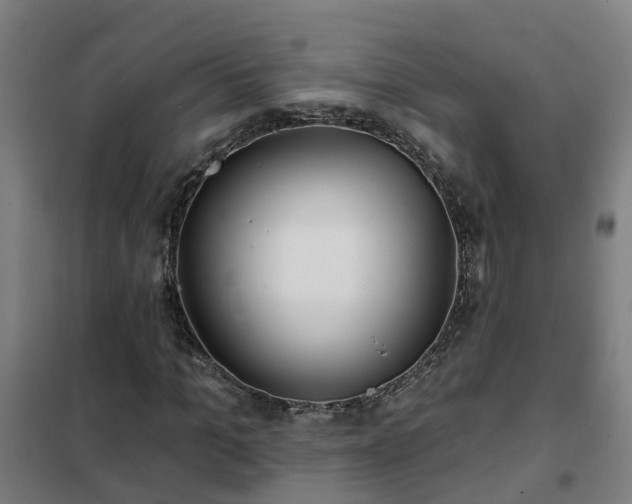 X0000102020965200807251328