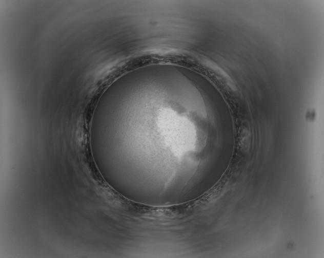 X0000102020966200807251328