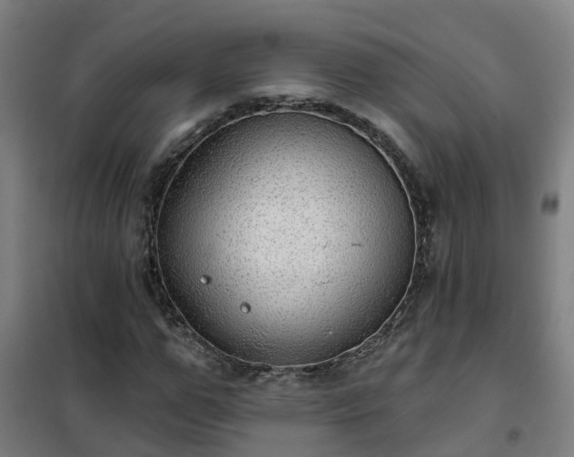 X0000102020967200807251328