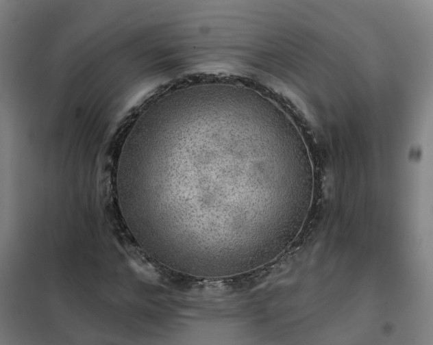 X0000102020968200807251328
