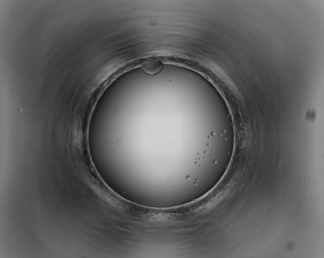 X0000102020969200807251328